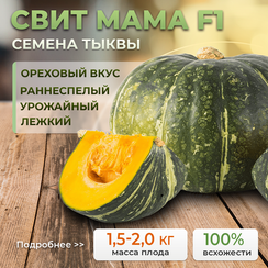 СВИТ МАМА F1 семена тыквы (Takii | Alexagro)