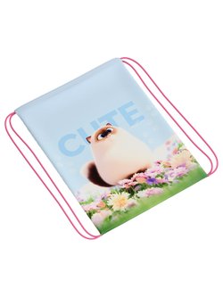 Мешок для обуви 34х42см (MSP-P00009)