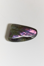 Срез Лабрадора S