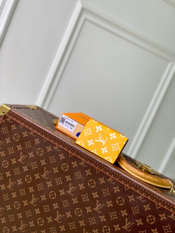 Louis Vuitton Pocket Organizer