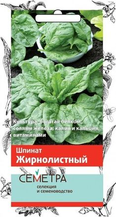 Шпинат