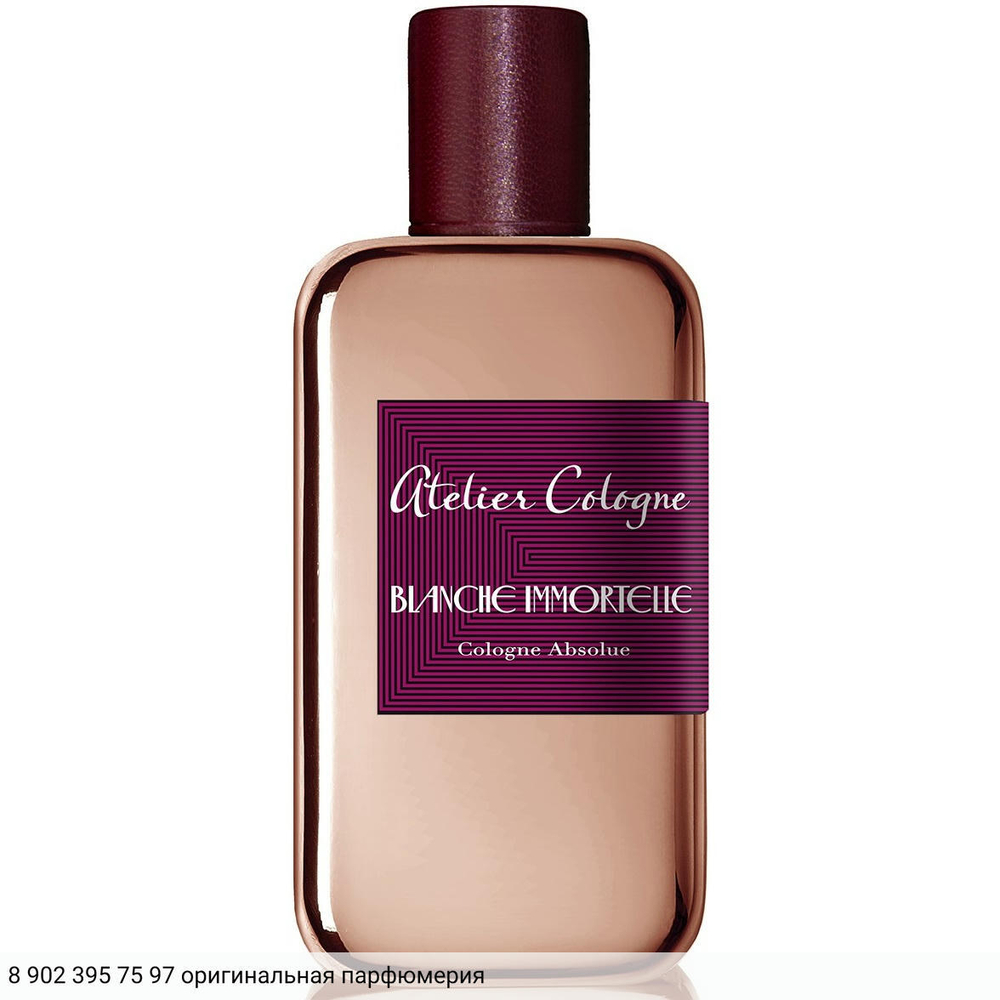 Blanche Immortelle