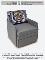 Кресло-кровать "Миник" с подлокотниками, купон Тигр