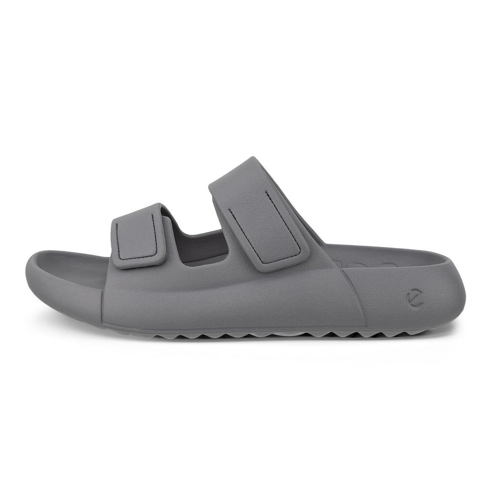Шлепанцы мужские ECCO COZMO E