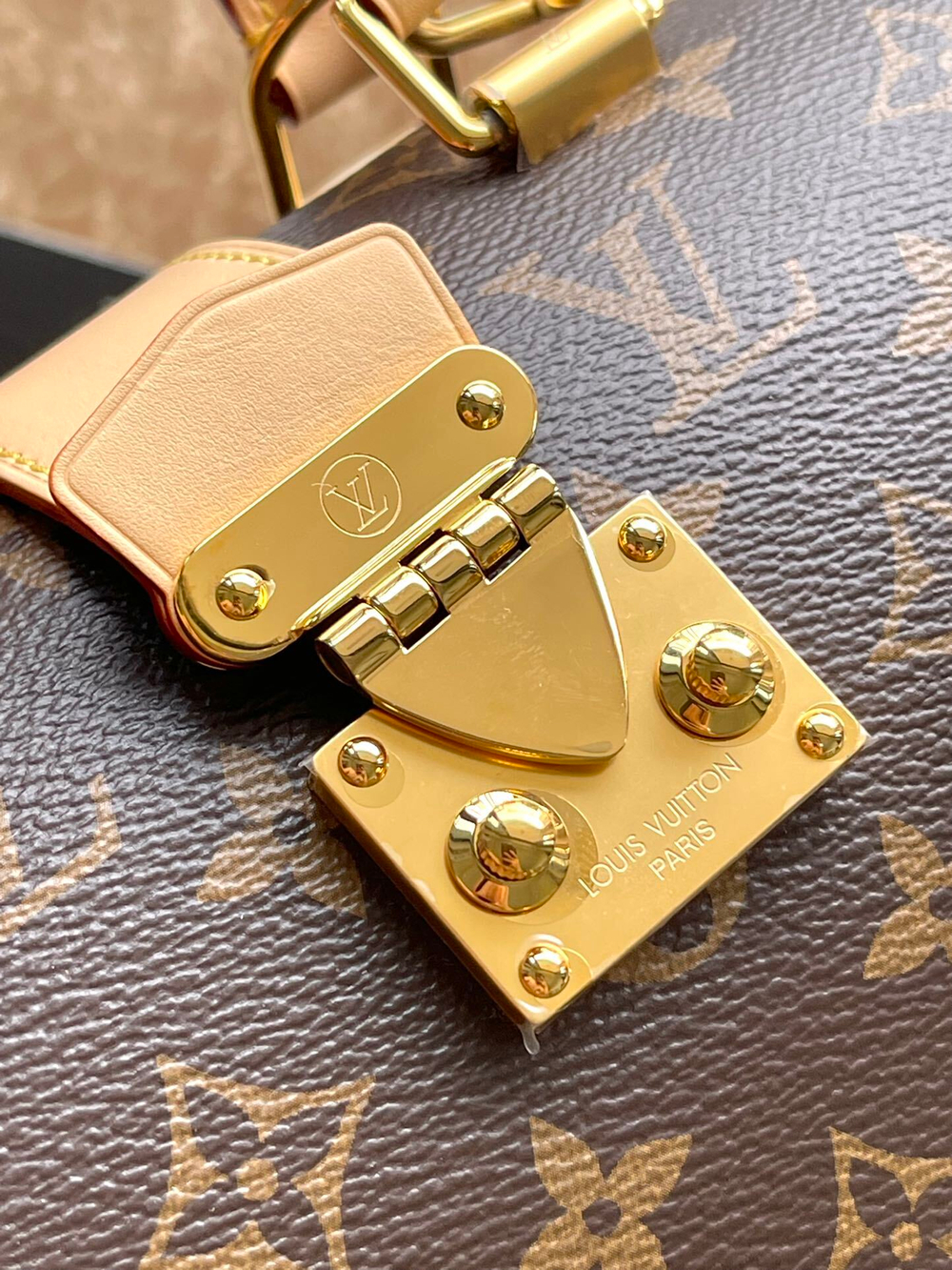 Louis Vuitton Speedy Trunk 20