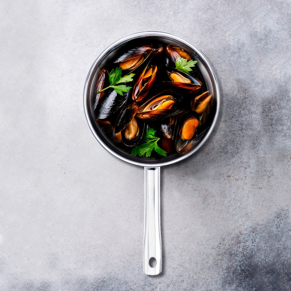 Сковорода из нержавеющей стали Gipfel Maintz 0607 20 см