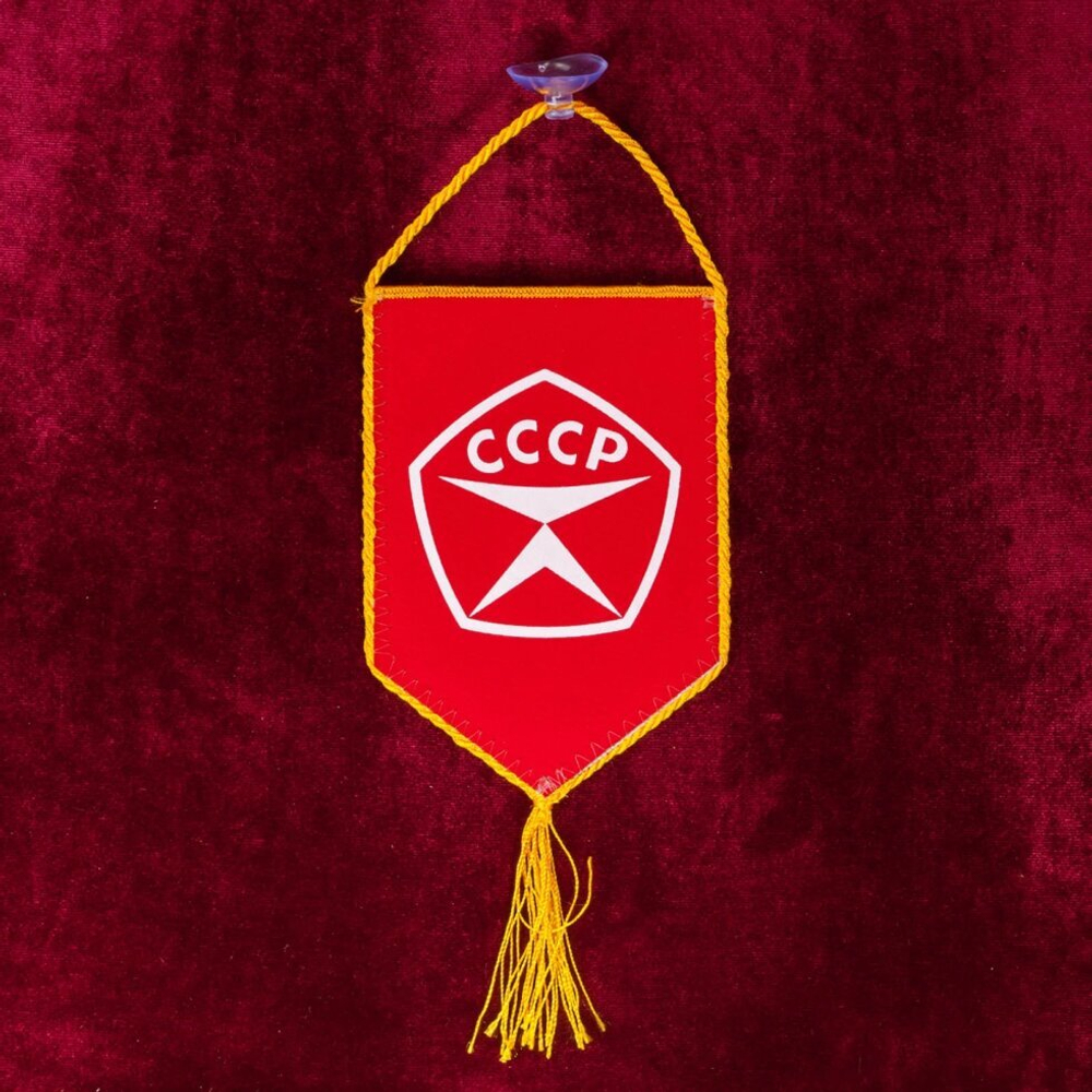 Автомобильный вымпел "Рождён в СССР" 10x15 см.