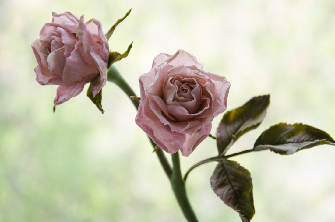 Наши инструменты в работе