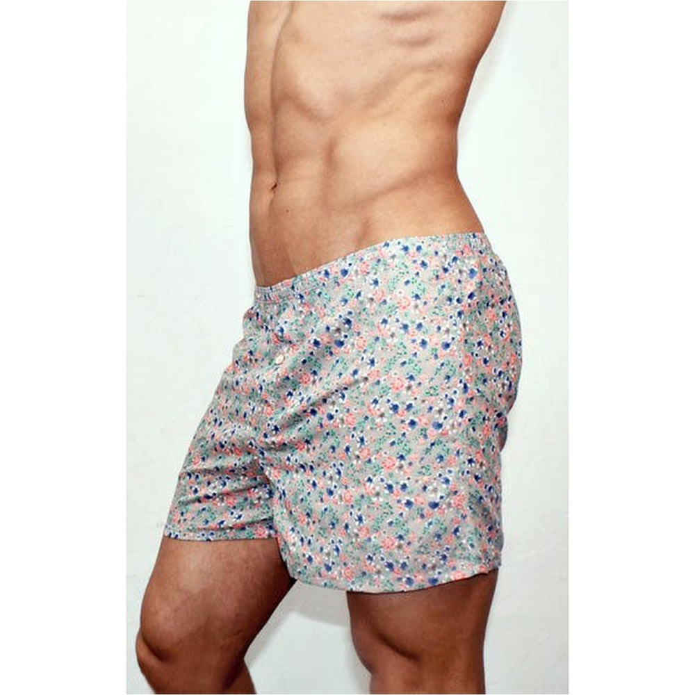 Мужские трусы-шорты серые Romeo Rossi Spring Meadow Shorts RR00312