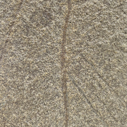 Каменный шпон Slate Light Rainforest Brown 1220х2440мм