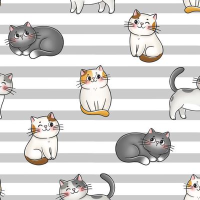 Котики