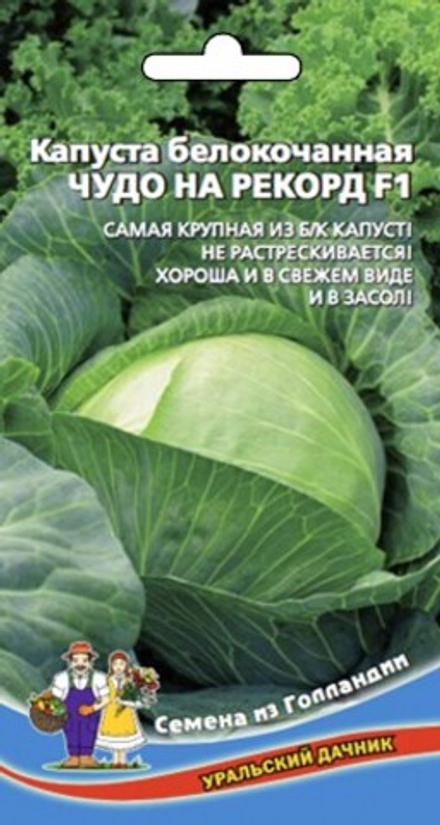 Капуста б/к Чудо на рекорд 0,1-0,3гр УД