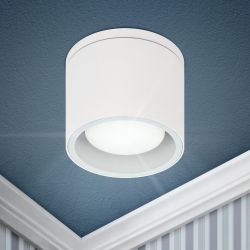 Светильник настенно-потолочный спот ЭРА WL40 WH GX53, белый, IP54