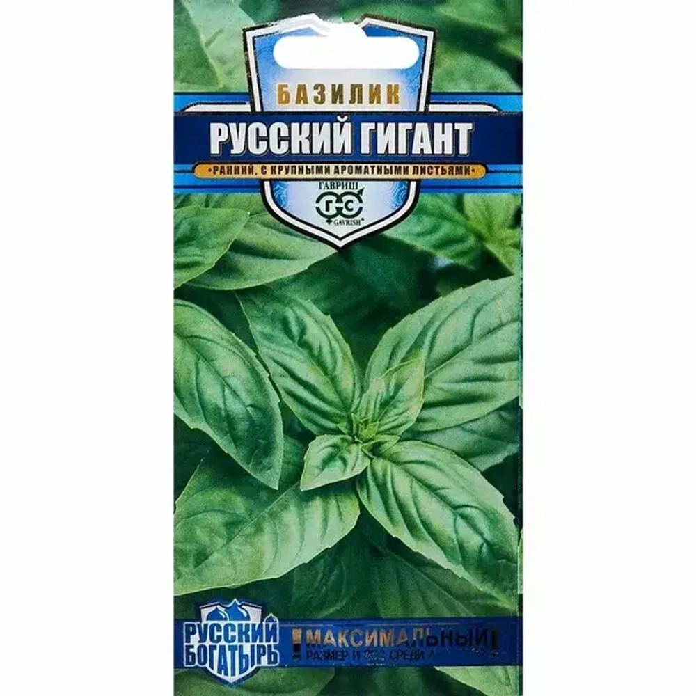 БАЗИЛИК ЗЕЛЕНЫЙ ^(1Г)