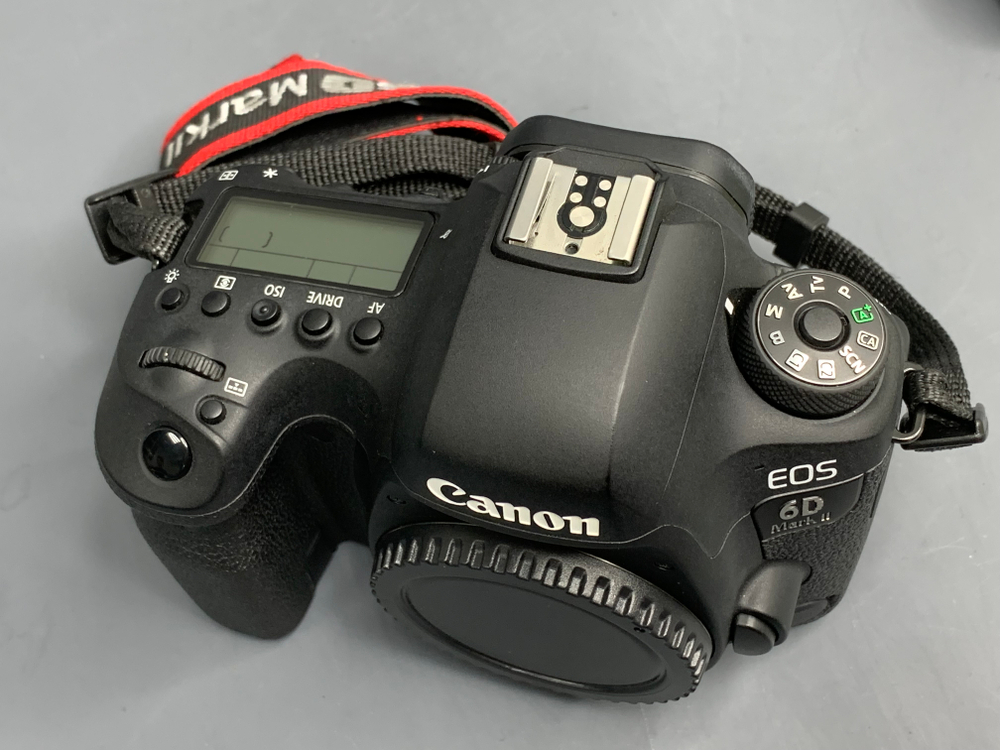Canon 6D Mark II 16.000 кадров