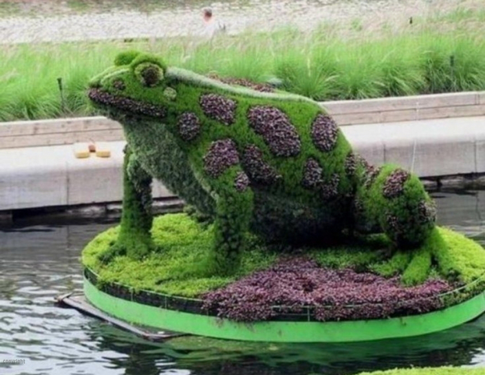 Топиарная фигура Лягушка