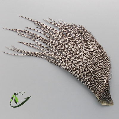 Срез скальпа петуха Whiting (мелкие перья)