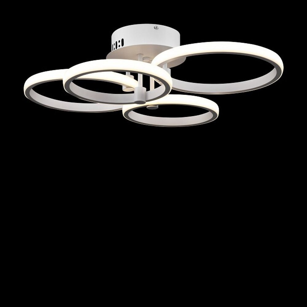 Накладной светильник Freya  FR10018CL-L40W