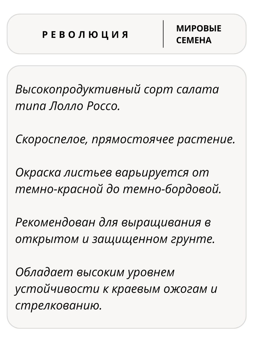 Семена салат Революция для посадки, 7 семян (Vita Green / Вита Грин)