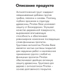 Pinotex Base, 2,5л грунт-антисептик по дереву