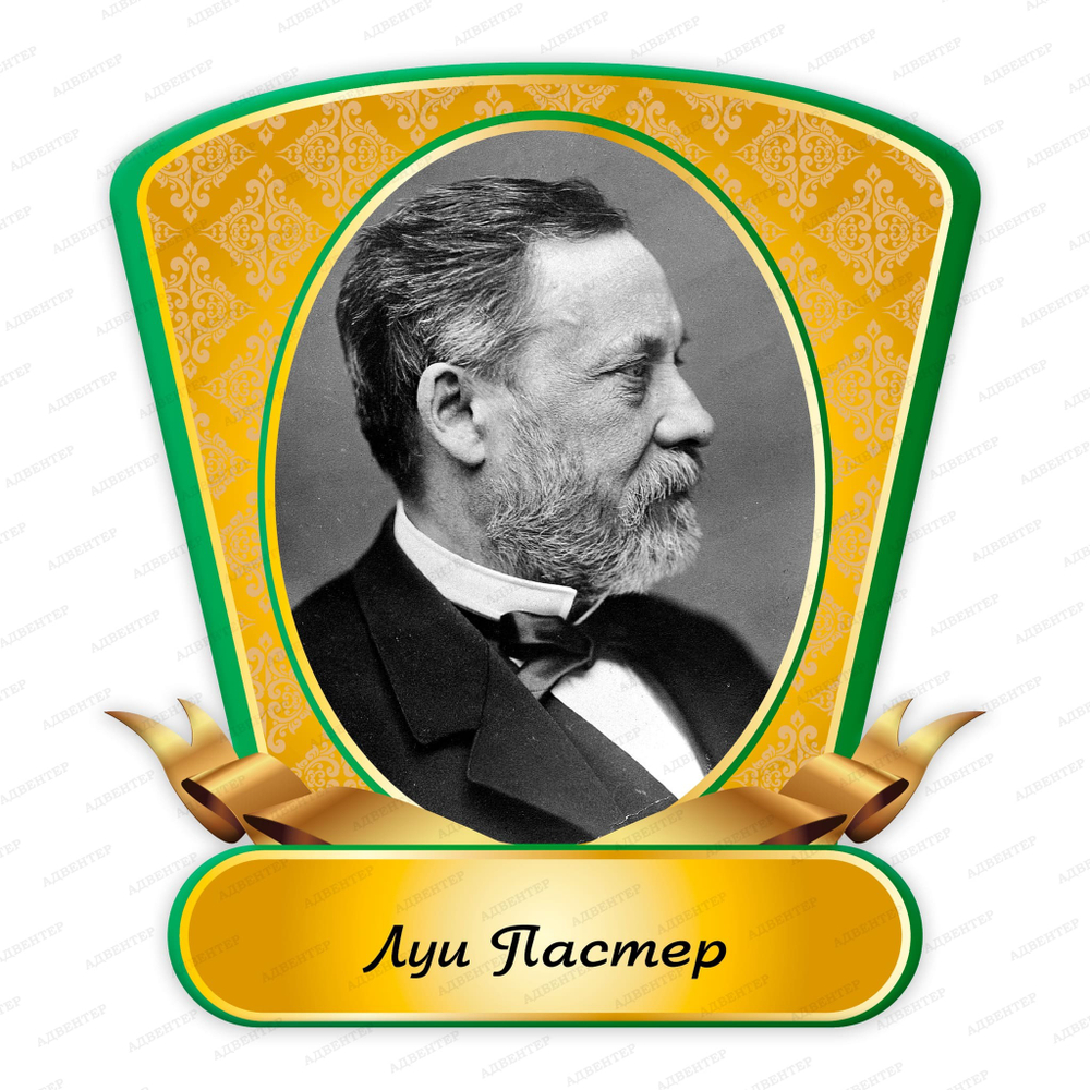 Портрет фигурный Луи Пастер Louis Pasteur 2364