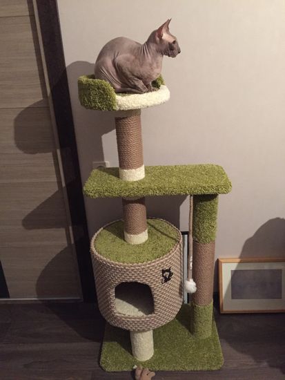 Дом для кота Д-2