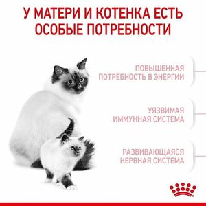 Уценка! Срок до 05.2024/ Корм для котят и беременных кошек, Royal Canin Mother&Babycat