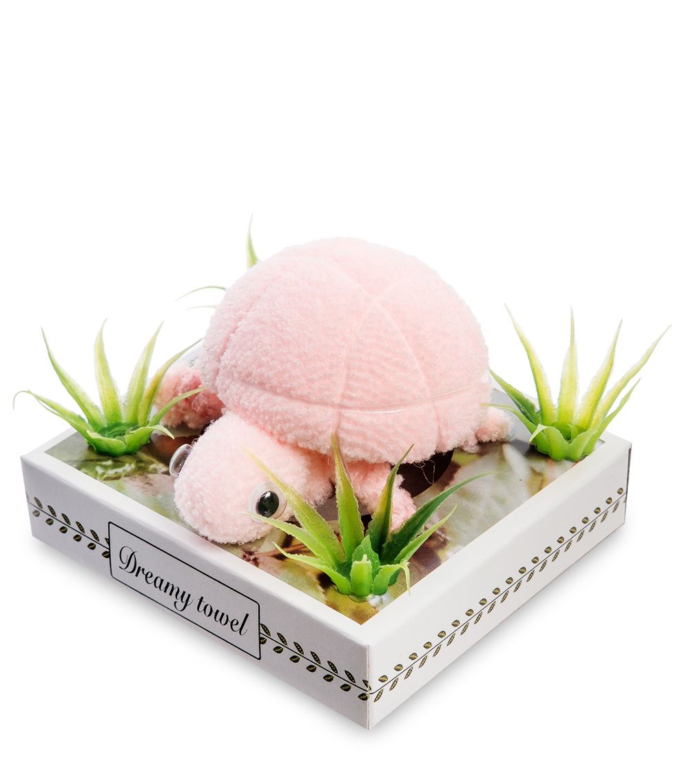 TL-01/2 Черепашка