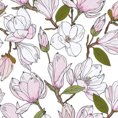 магнолии