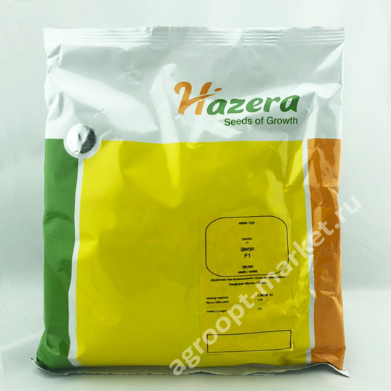Центро F1 семена лука репчатого (Hazera / Хазера) – фото 2