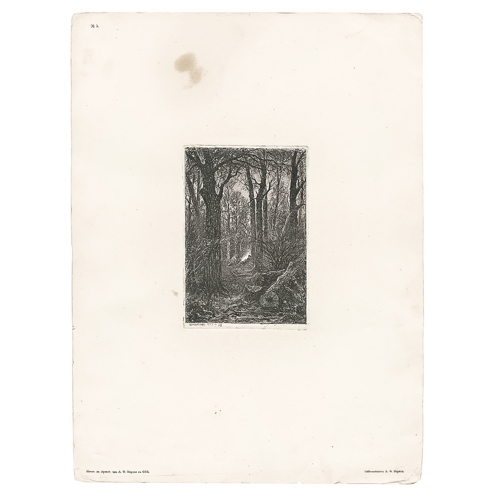 Шишкин Иван Иванович. На порубке. Бумага, офорт. 1873 г.