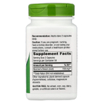 Nature's Way, корень иглицы колючей, 100 веганских капсул (360 мг в 1 капсуле)