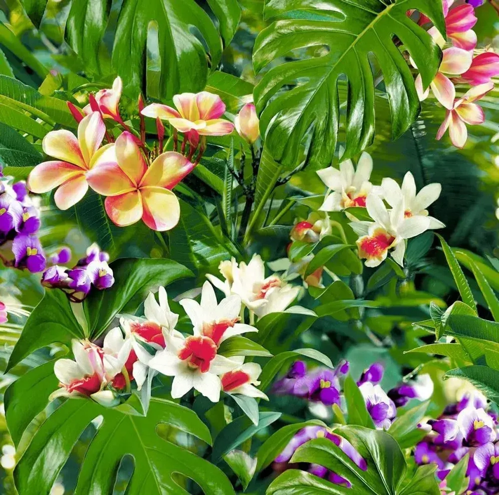 Обои бумажные Саратовская обойная фабрика Малибу 785-04 0.53*10м