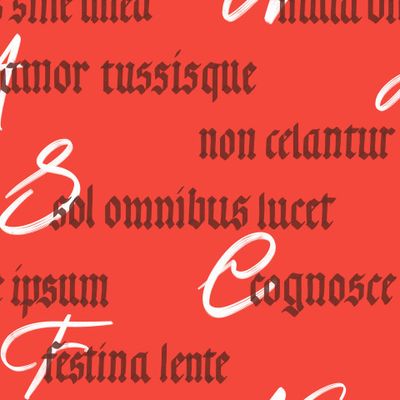 Латинские фразы