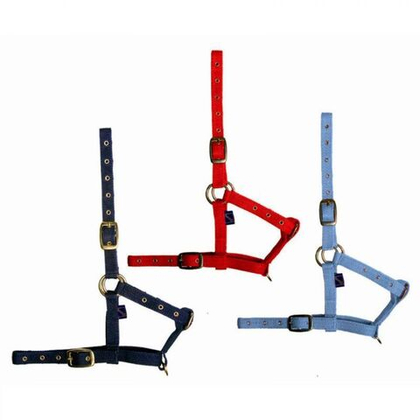 DASLO Недоуздок нейлоновый для жеребят, темно-синий