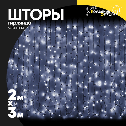 гирлянда 2 х 3 шторы черный провод уличная (белый)