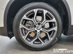 BMW X1 (F48) xDrive 20i xLine (02.2021)