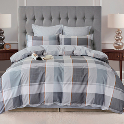 Постельное белье СайлиД B-254 сатин