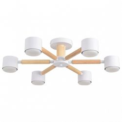 Люстра на штанге Lumion VUDI 8306/6C