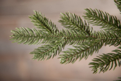 Ель Шервуд Премиум Стройная 120см зеленая Triumph Tree