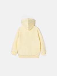 Толстовка облегченная "Нарцисс"