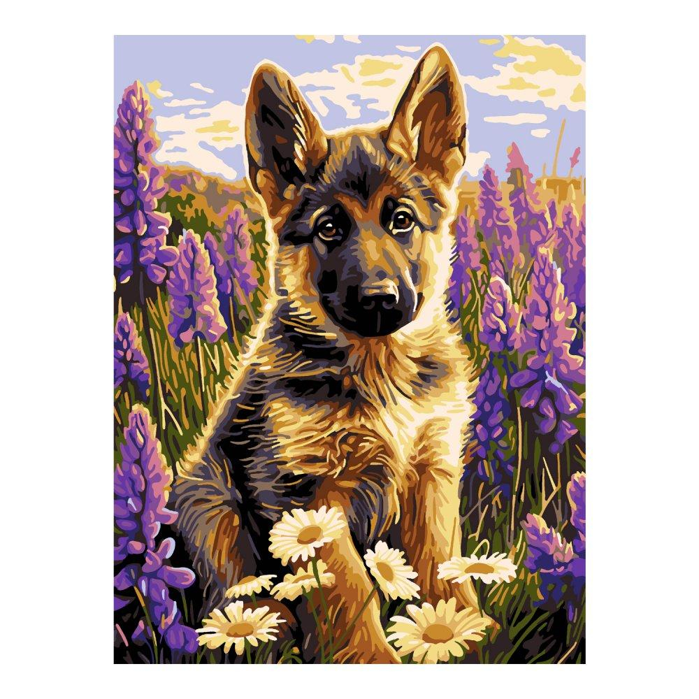 Картина по номерам холст на подрамнике 30*40см. "Маленький друг" (Lori)