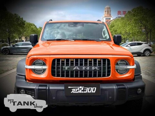 Решетка радиатора (ОРАНЖЕВАЯ) с габаритами для TANK 300