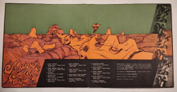 Винтажная виниловая пластинка LP Phoenix Mugur De Fluier (Румыния 1974)