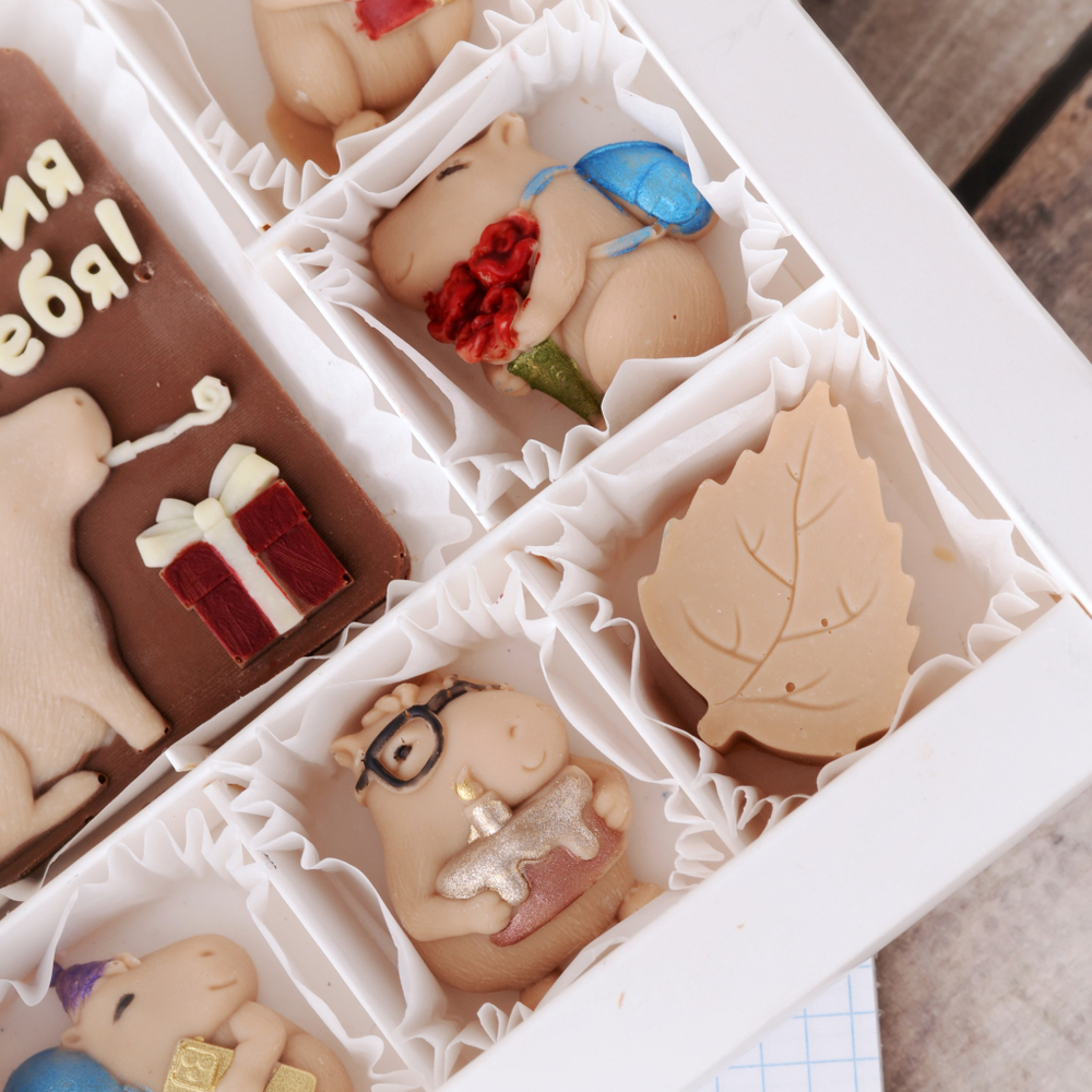 Набор "С днём рождения" с капибарами #3