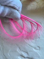 Гусиное перо, Розовый (5 шт)