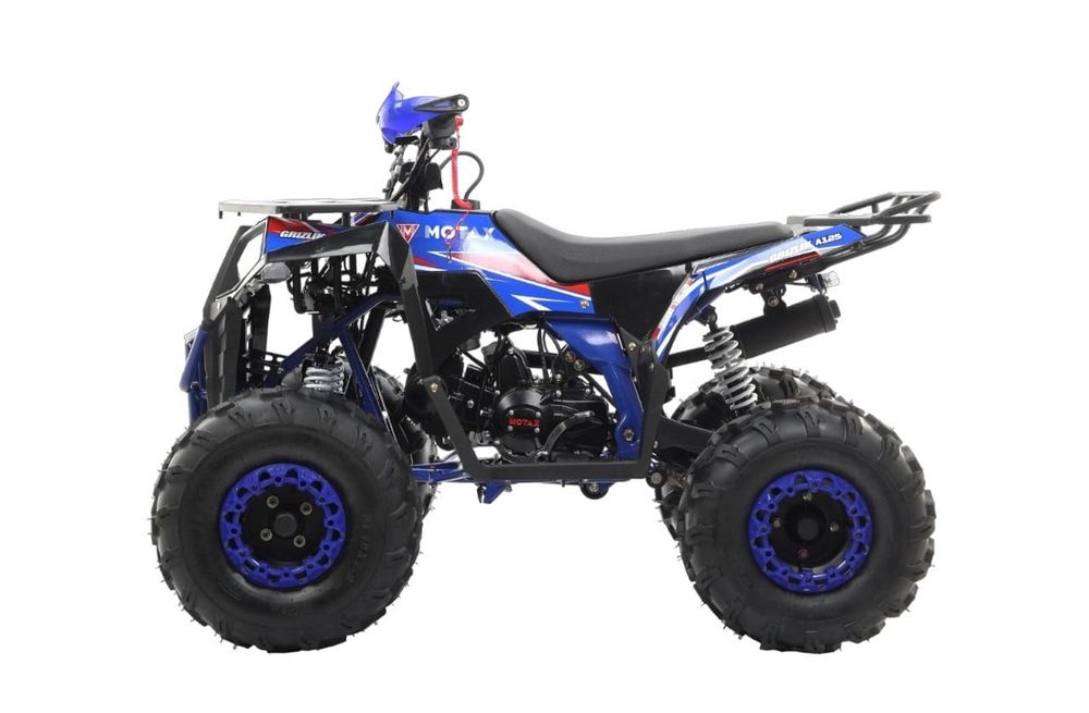 Квадроцикл MOTAX Grizlik A125