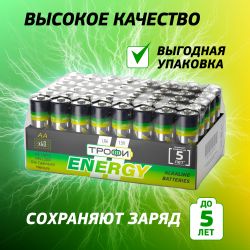 Батарейки Трофи LR6-40 bulk ENERGY Alkaline