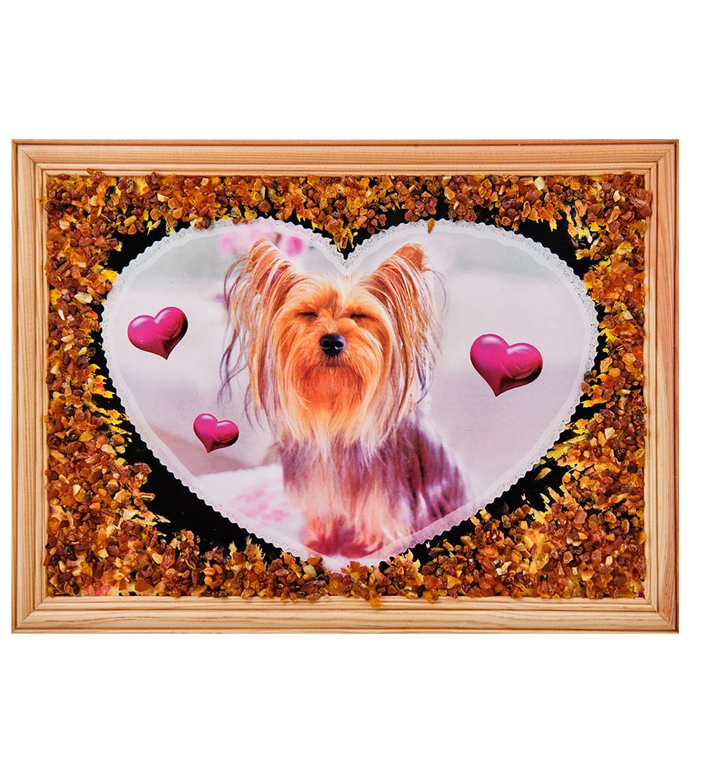 AMB-51/55 Картина «Йоркшир терьер» (с янтарной крошкой) дер.рамка 21х30