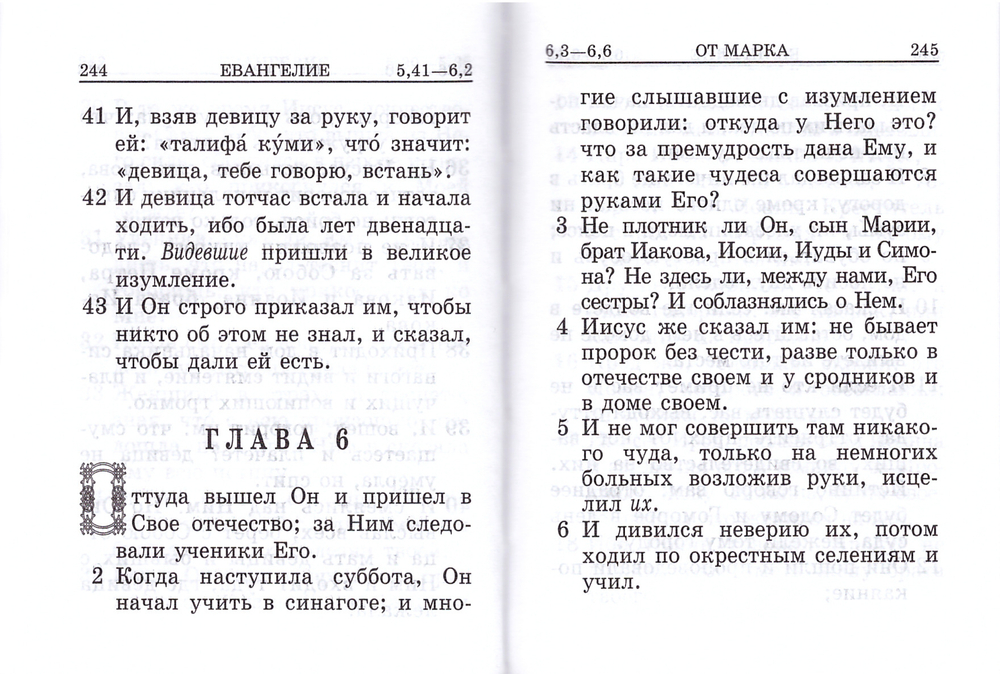 Святое Евангелие  и Псалтирь на русском языке (м/ф)